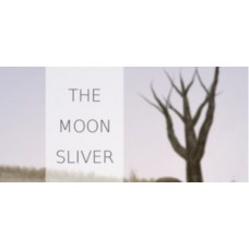 THE MOON SLIVER Steam Key PC - All Region